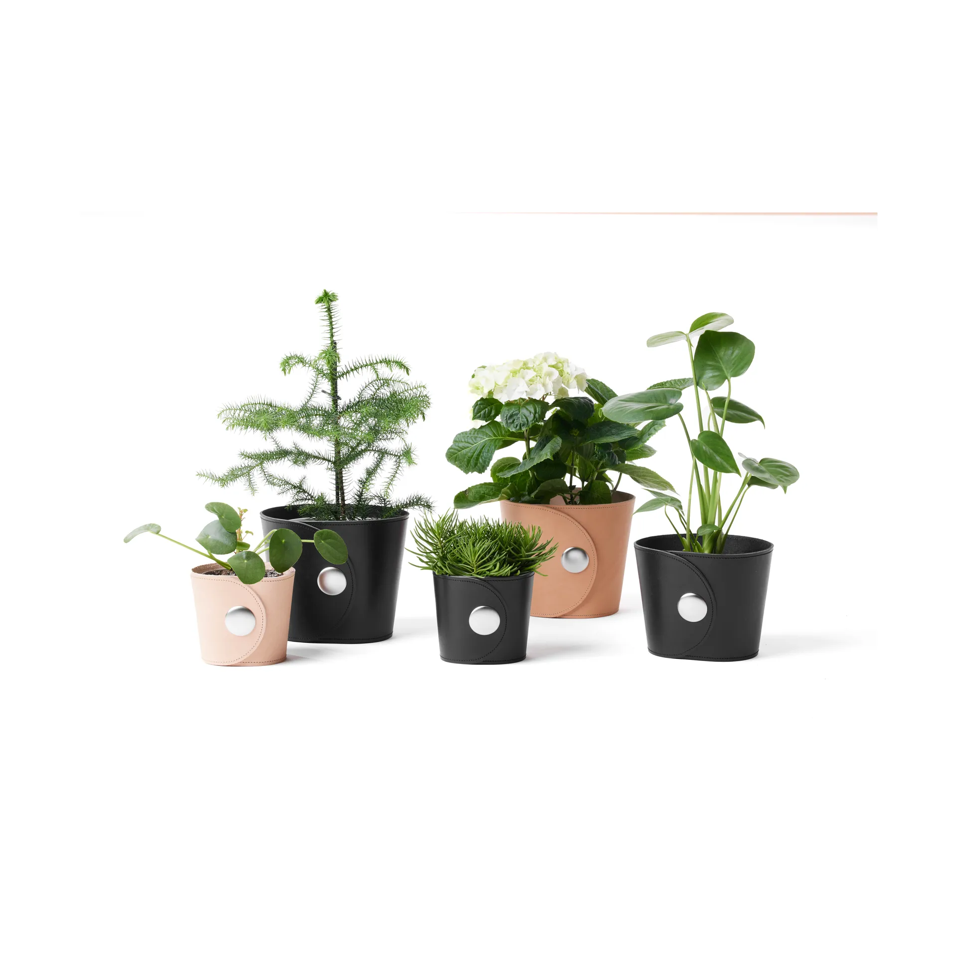 Γλάστρα, Hug, Δέρμα Tärnsjö μαύρο, Ø18x15 εκ. A2