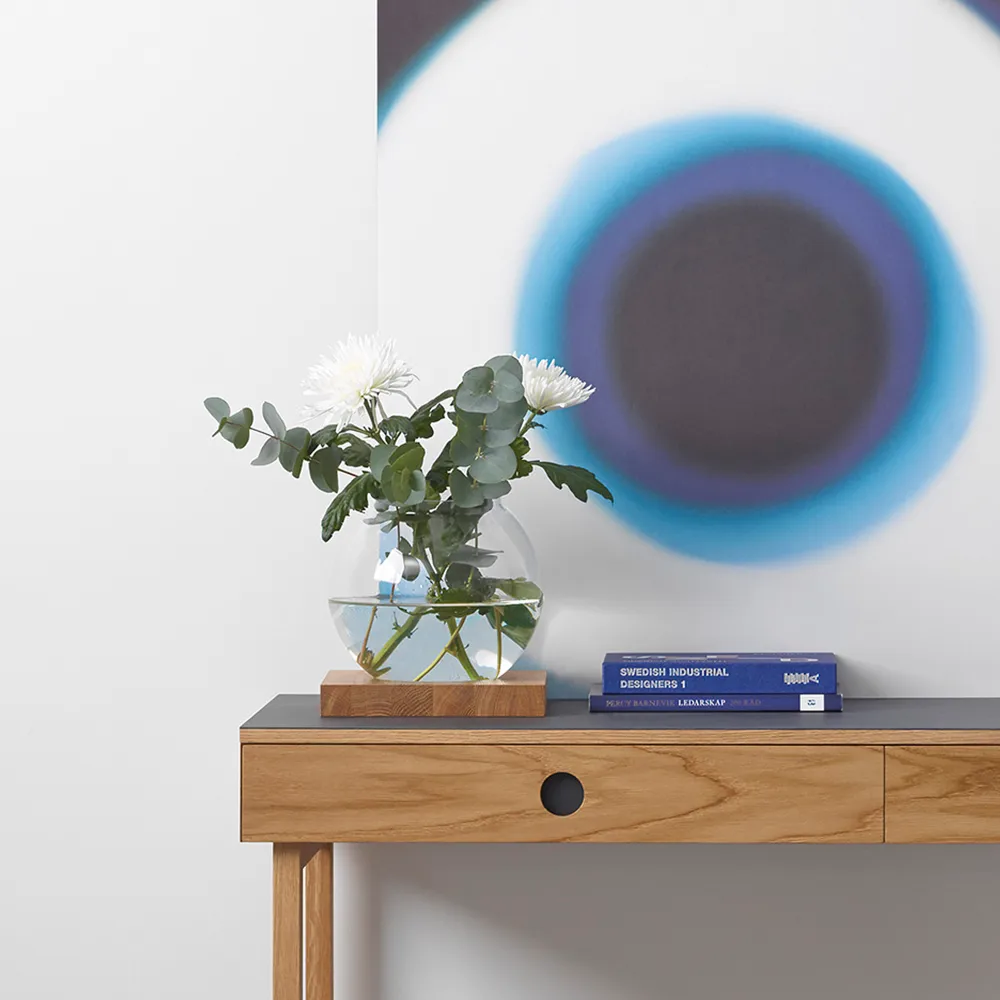 Διακοσμητικά χώρου, Oak black stained, γυαλί A2