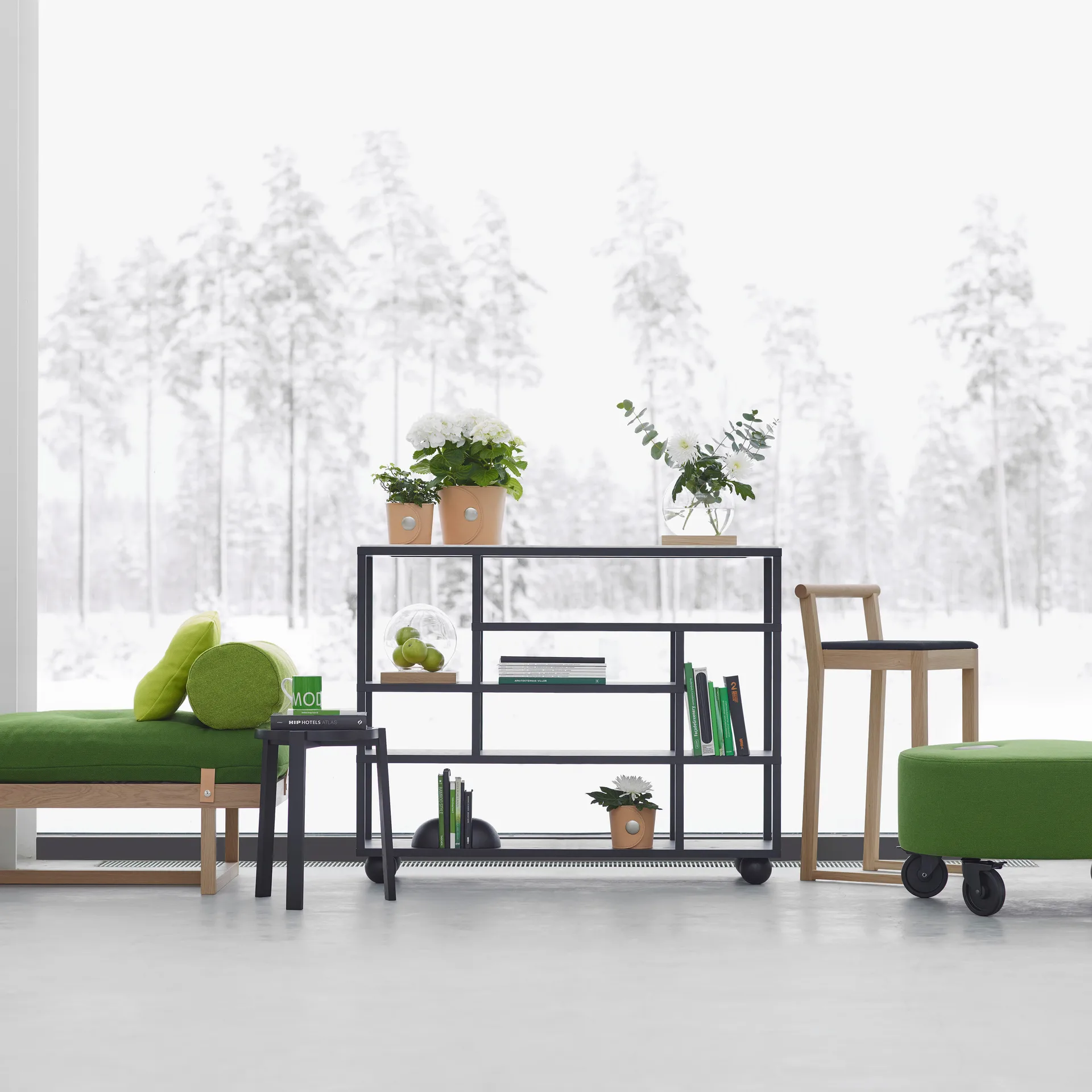 Ανοιχτά ράφια, Μαύρη χρωματισμένη δρυς A2