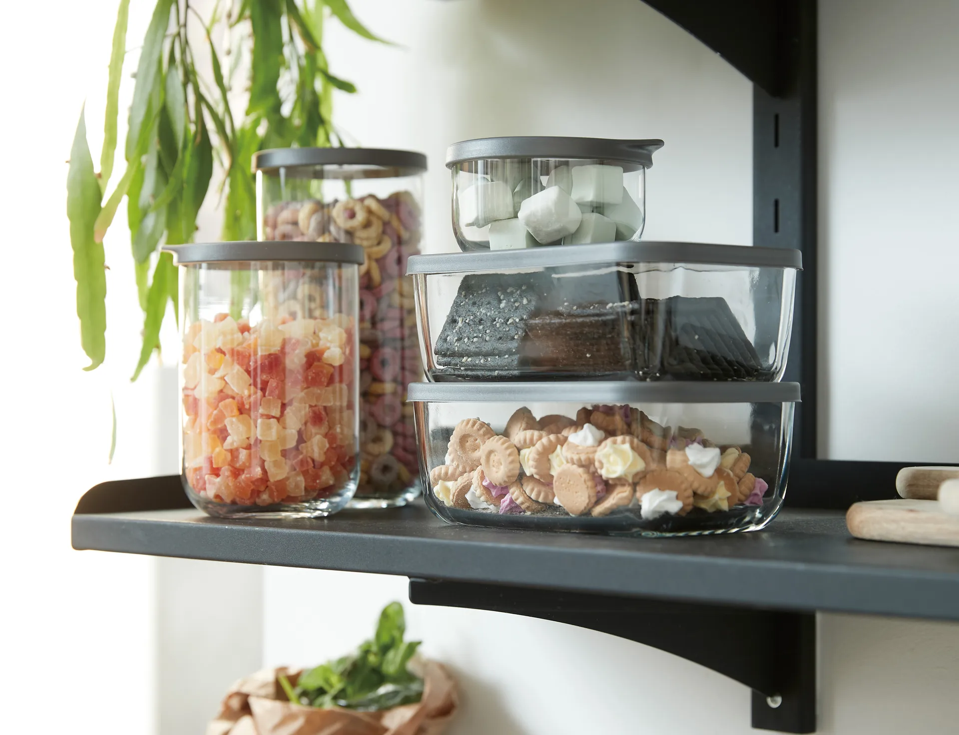 Café βάζο αποθήκευσης με καπάκι 1.4 l, Διαφανές Aida