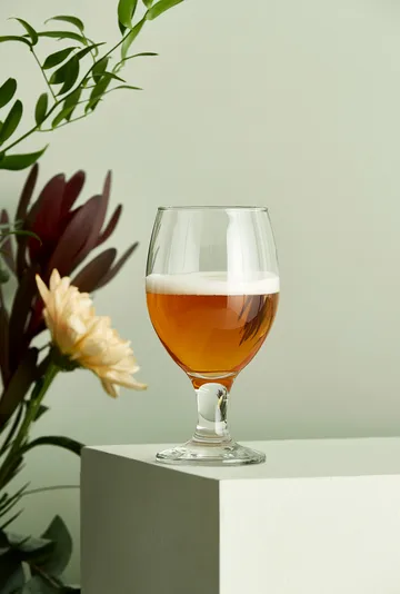 Café ποτήρι μπίρας 40 cl - Διαφανές - Aida