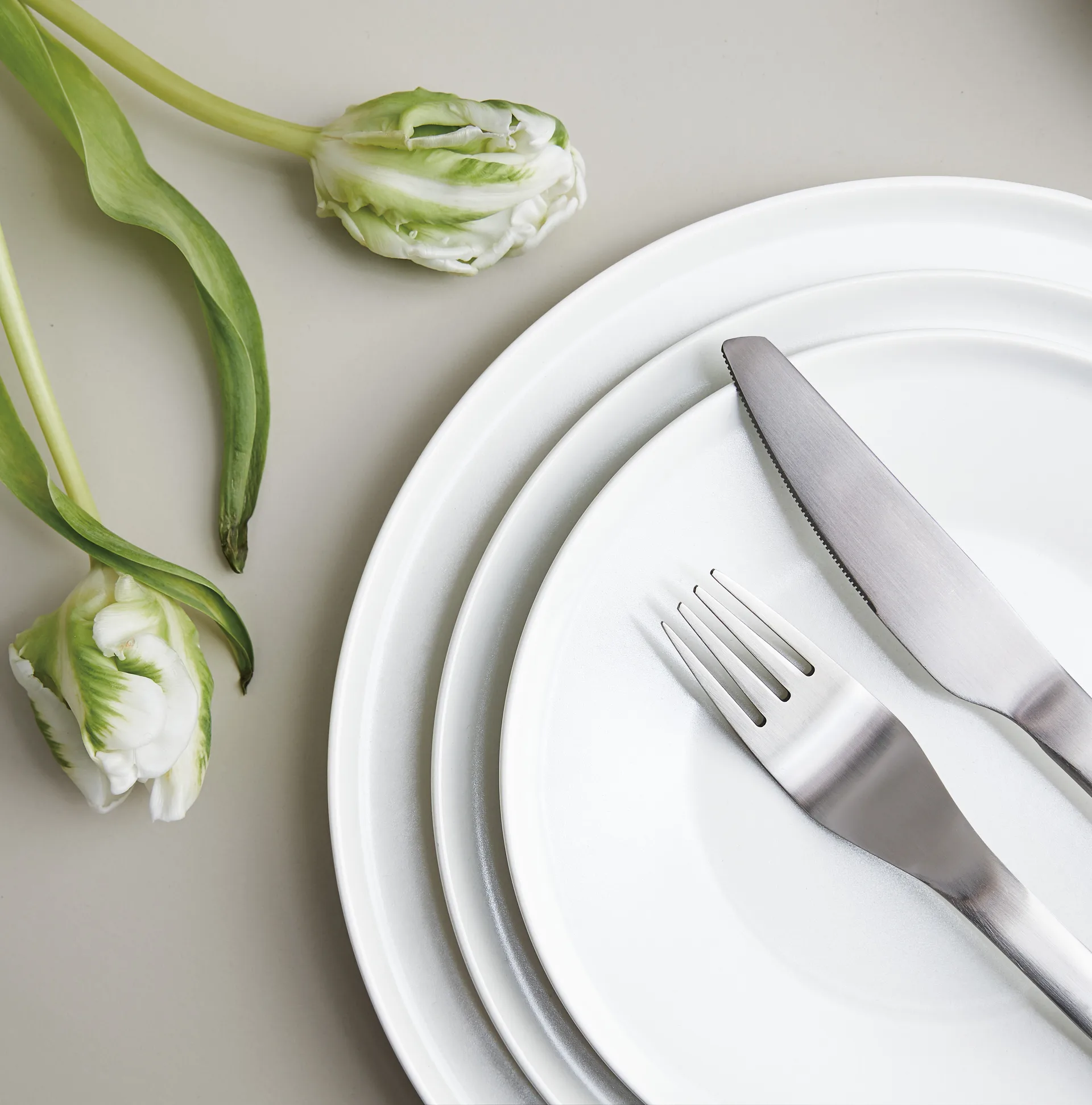 Enso Μαχαιροπίρουνα 16 τεμάχια, Satin (steel) Aida