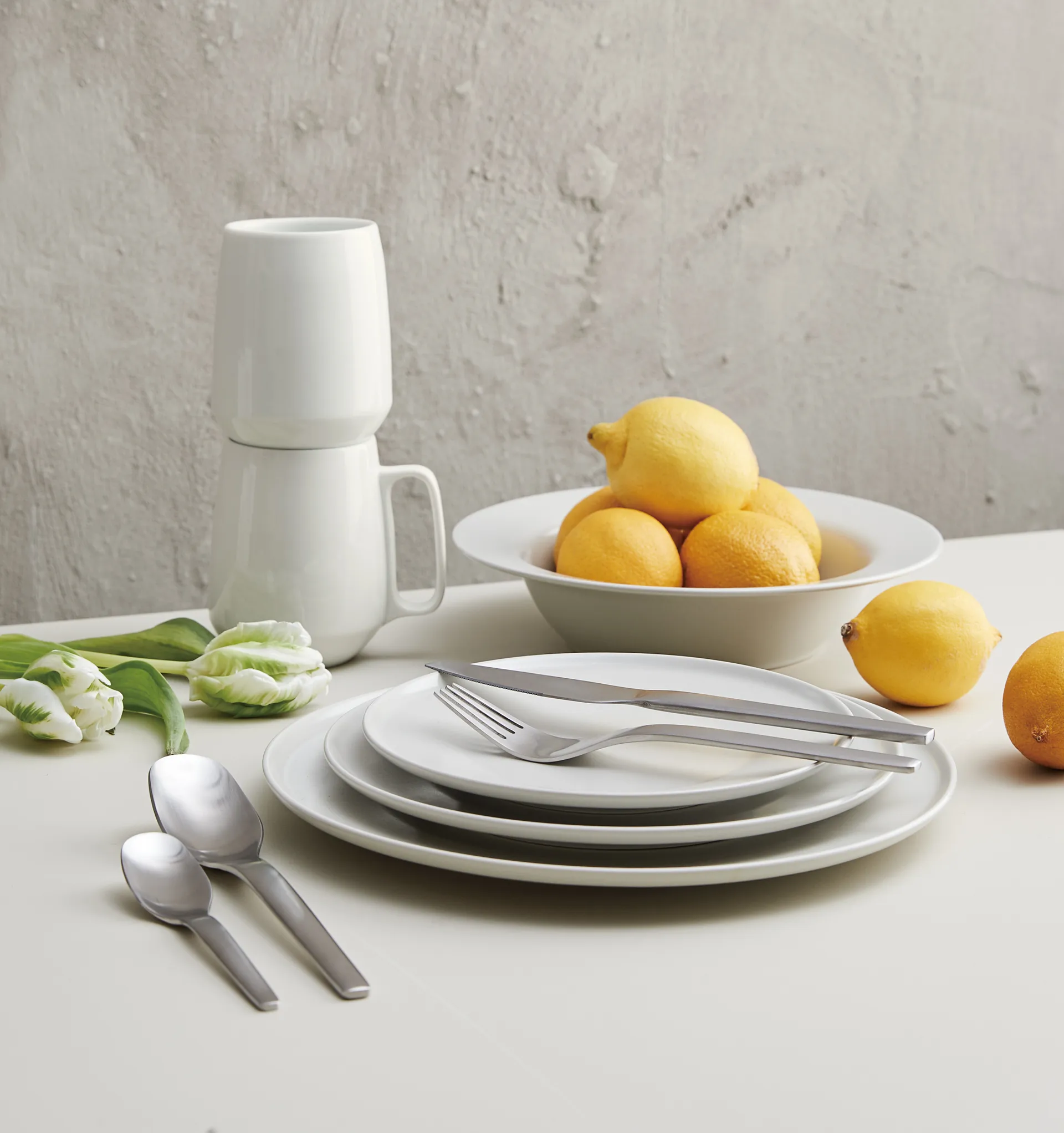 Enso Μαχαιροπίρουνα 16 τεμάχια, Satin (steel) Aida