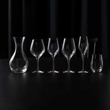 Passion connoisseur καράφα 1,25 l - Διαφανές - Aida