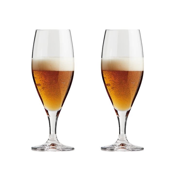 Passion connoisseur ποτήρι μπίρας 40 cl Συσκευασία 2 τεμαχίων - Διαφανές - Aida