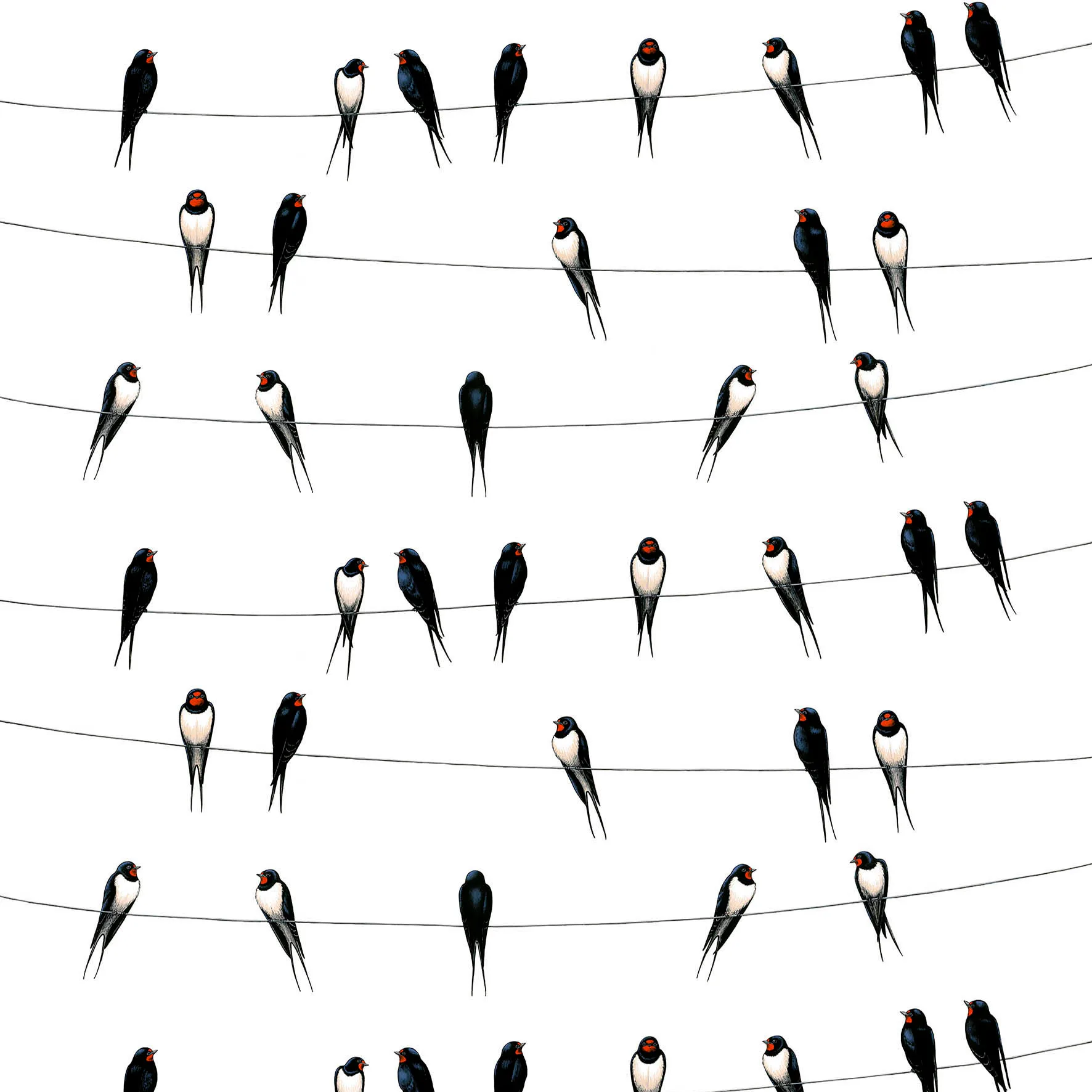 Ladusvalor ύφασμα, λευκό Arvidssons Textil