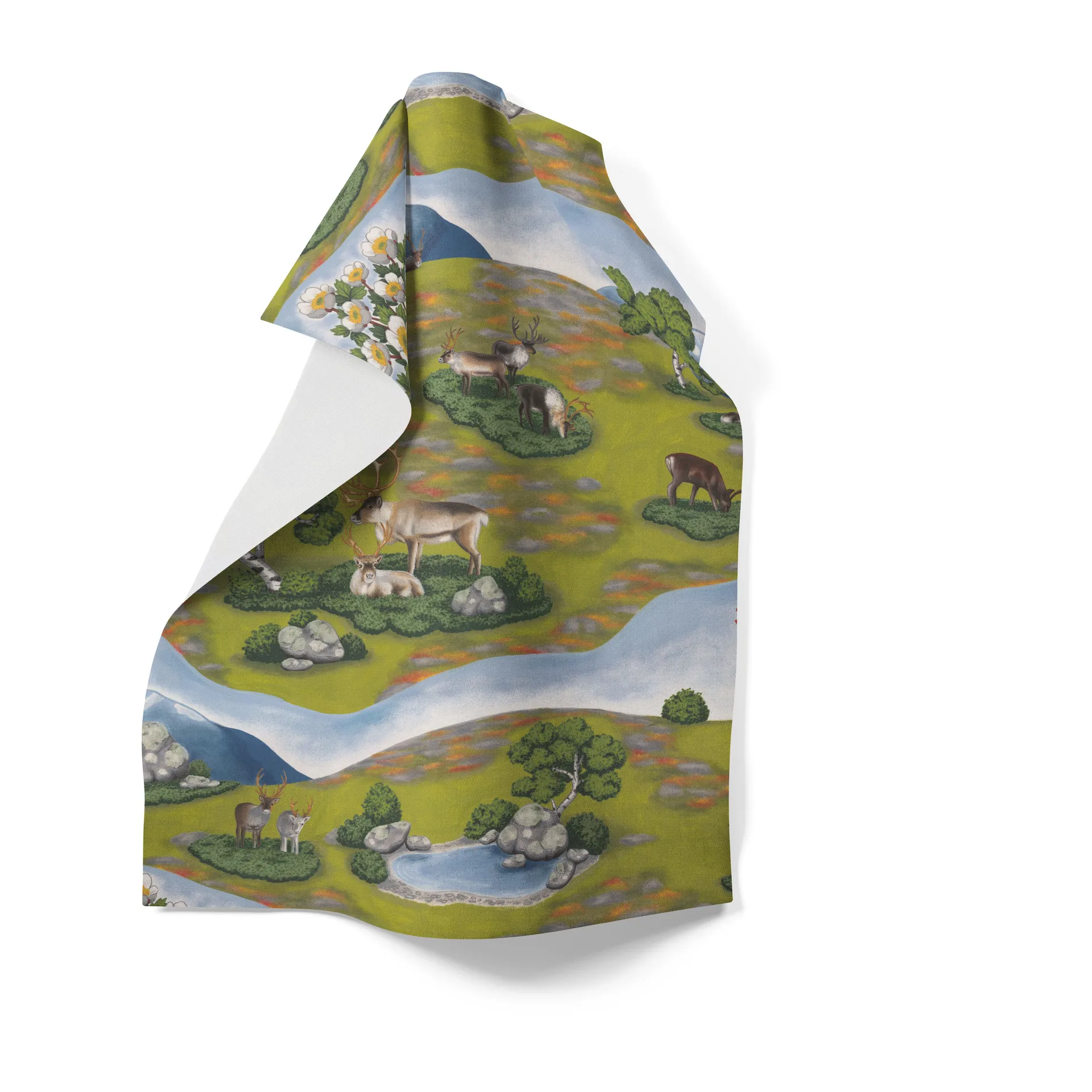 Πετσέτα κουζίνας, Renvandring, 65x85 εκ, Πράσινο Arvidssons Textil