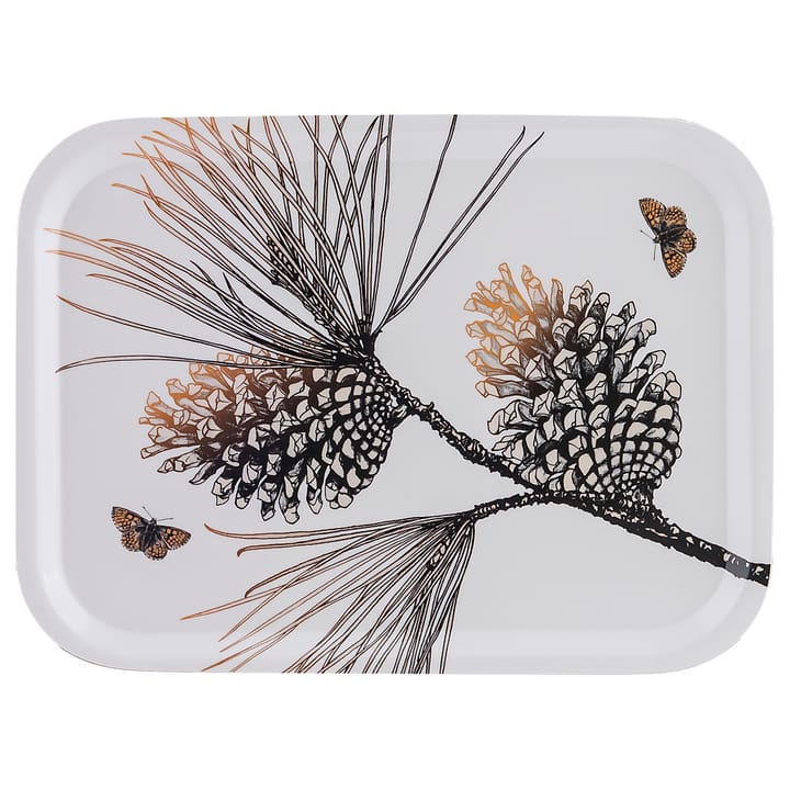 Pine Cone δίσκος 20x27 cm - Λευκό του βαμβακιού - Åry Home