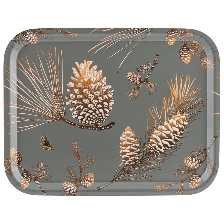 Pine Cone δίσκος 28x36 cm - Γκρι του βρύου - Åry Home