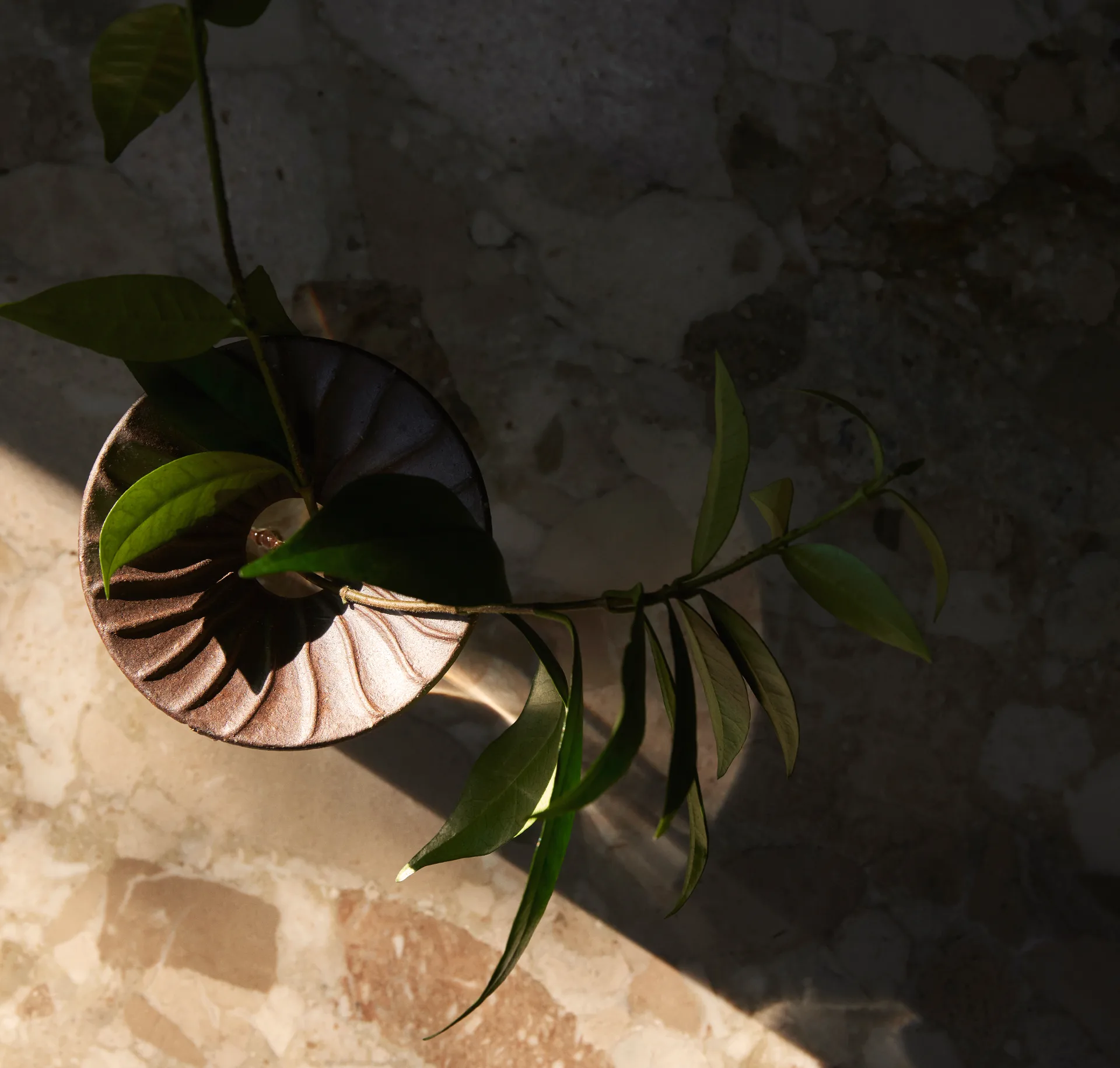 Cresco Propagation βάζο 2 κομμάτια, Brown-clear Audo Copenhagen