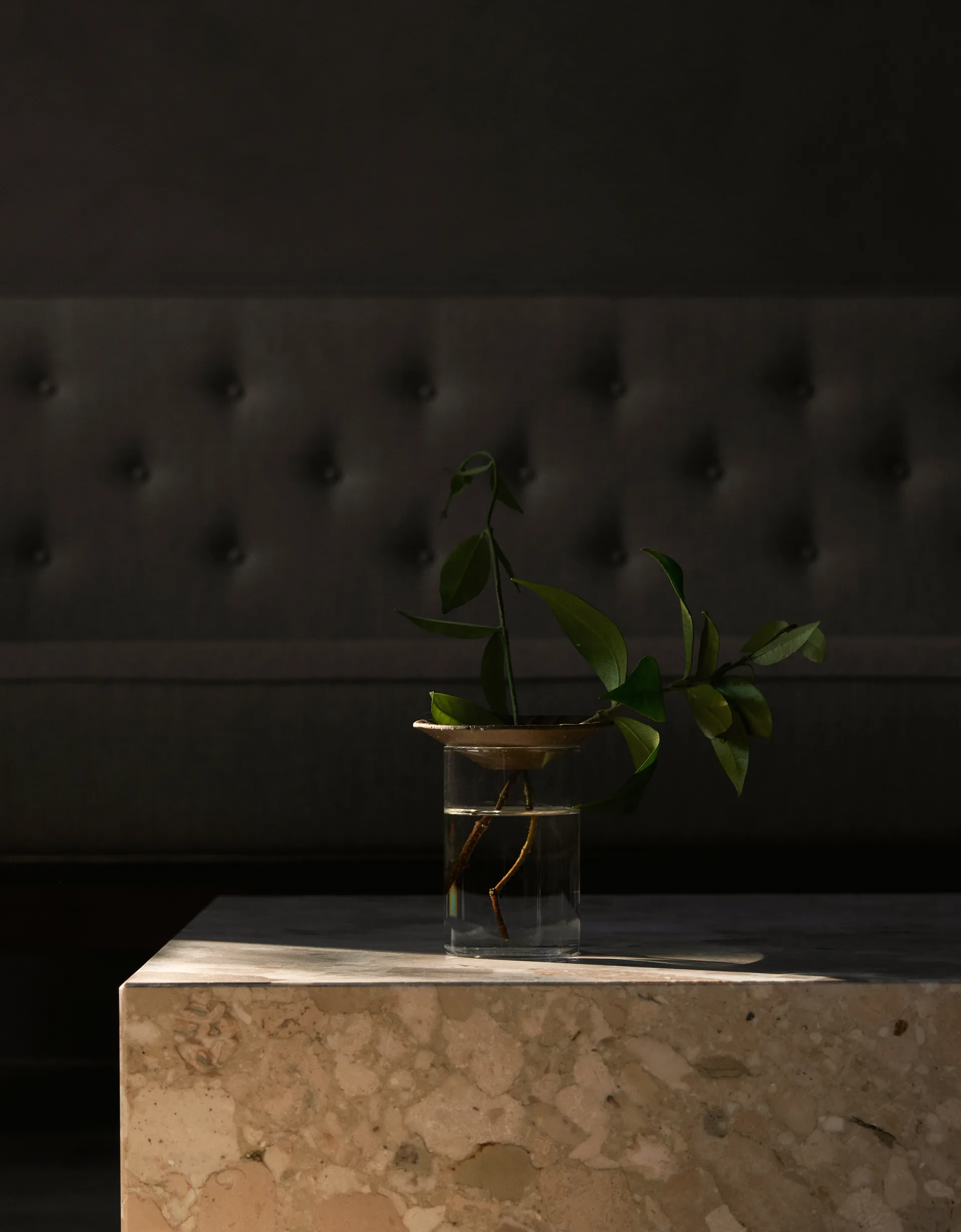 Cresco Propagation βάζο 2 κομμάτια, Brown-clear Audo Copenhagen