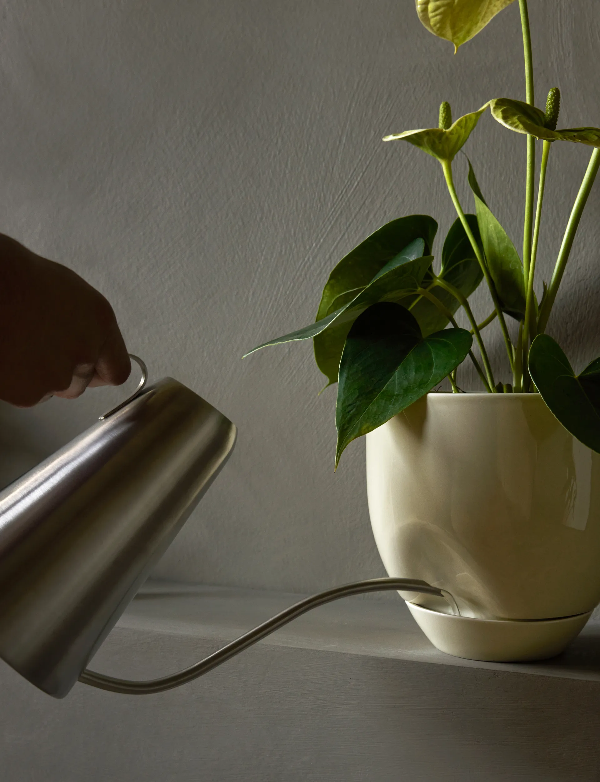 Hydrous γλάστρα Ø20 εκ, Ashen Audo Copenhagen