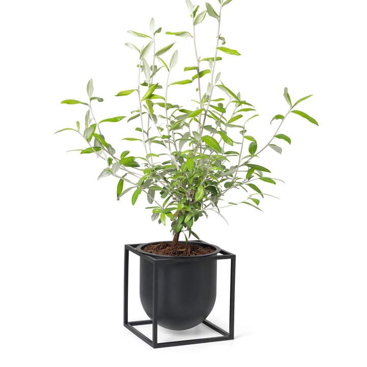 Kubus γλάστρα Ø14 cm, Μαύρο Audo Copenhagen