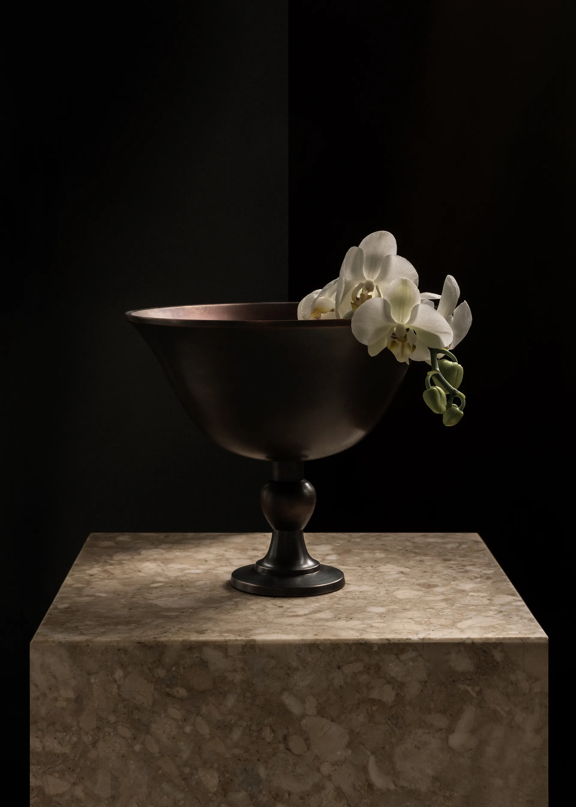 Pavot μπολ, Καφέ Audo Copenhagen