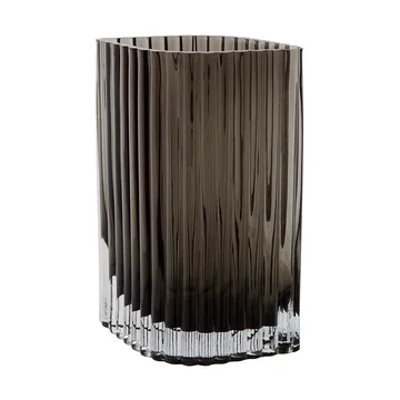 Βάζο Foliage, 25 εκ. - Μαύρο - AYTM