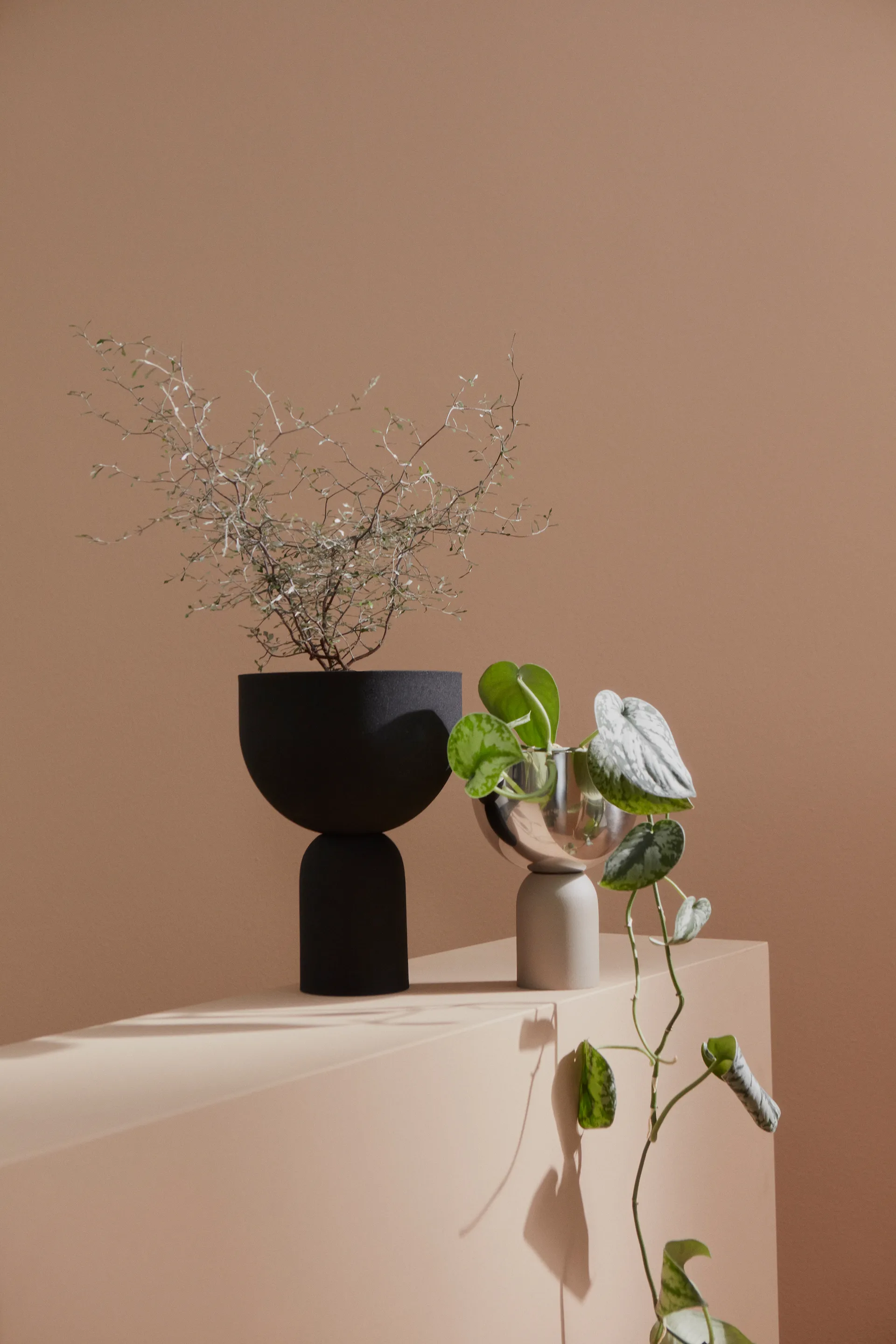 Torus γλάστρα Ø22 cm, Μαύρο-μαύρο AYTM