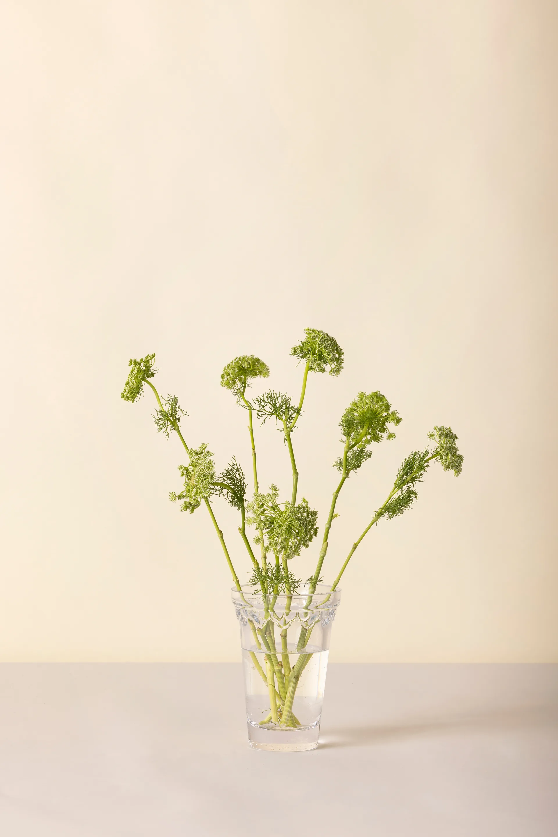 Κοπεγχάγη βάζο, Διαφανές, 18,5 εκ. Bergs Potter