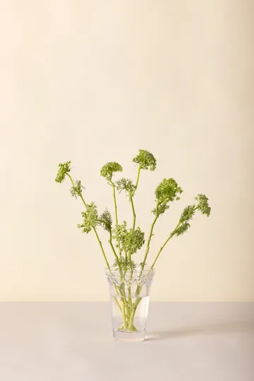 Κοπεγχάγη βάζο - Διαφανές, 18,5 εκ. - Bergs Potter