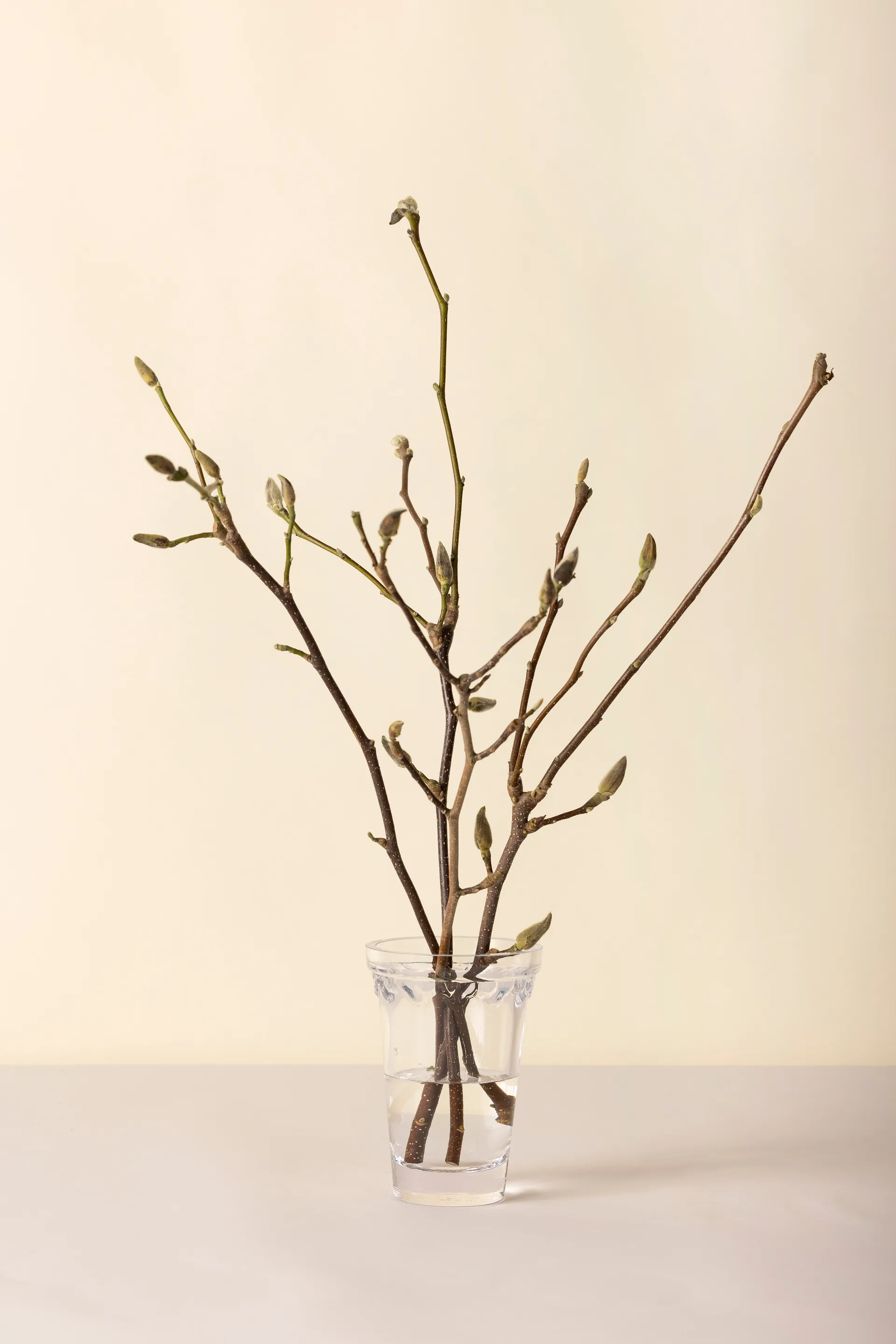 Κοπεγχάγη βάζο, Διαφανές, 18,5 εκ. Bergs Potter