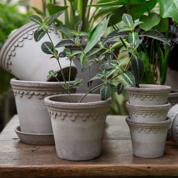 Copenhagen γλάστρα Ø14 cm - Γκρι - Bergs Potter