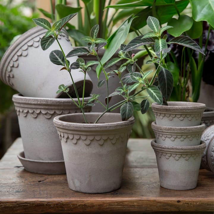 Copenhagen γλάστρα Ø16 cm, Γκρι Bergs Potter