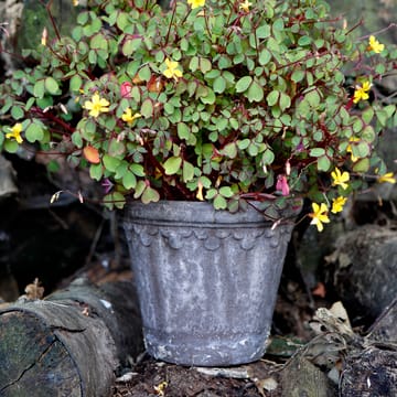 Copenhagen γλάστρα Ø16 cm - Γκρι - Bergs Potter