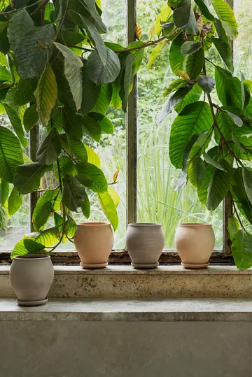 Delphi γλάστρα με πιατάκι 2 τεμάχια - Ροζ, Ø20 εκ. - Bergs Potter