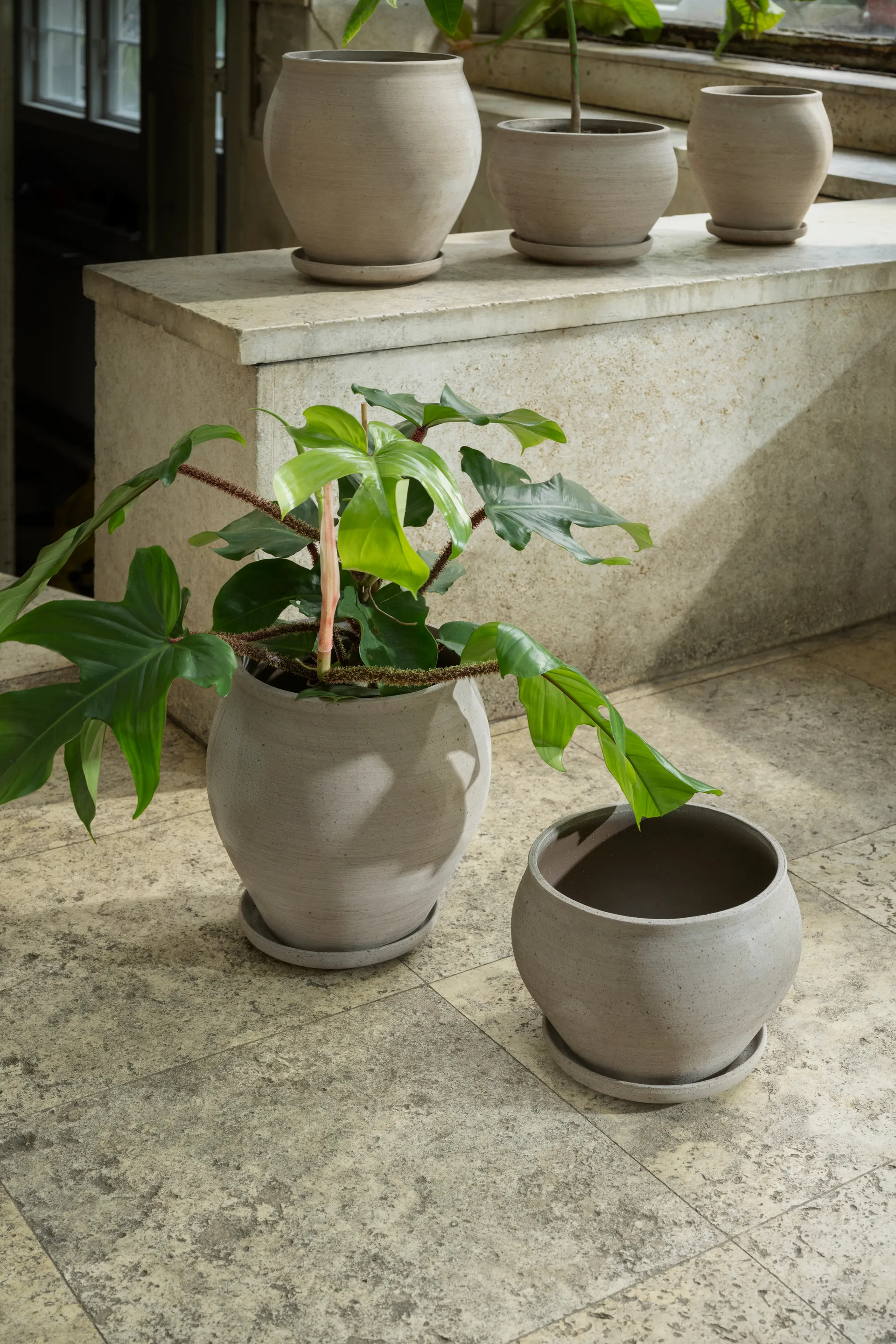 Delphi γλάστρα με πιατάκι 2 τεμάχια, Γκρι, Ø22 εκ., ψηλό Bergs Potter