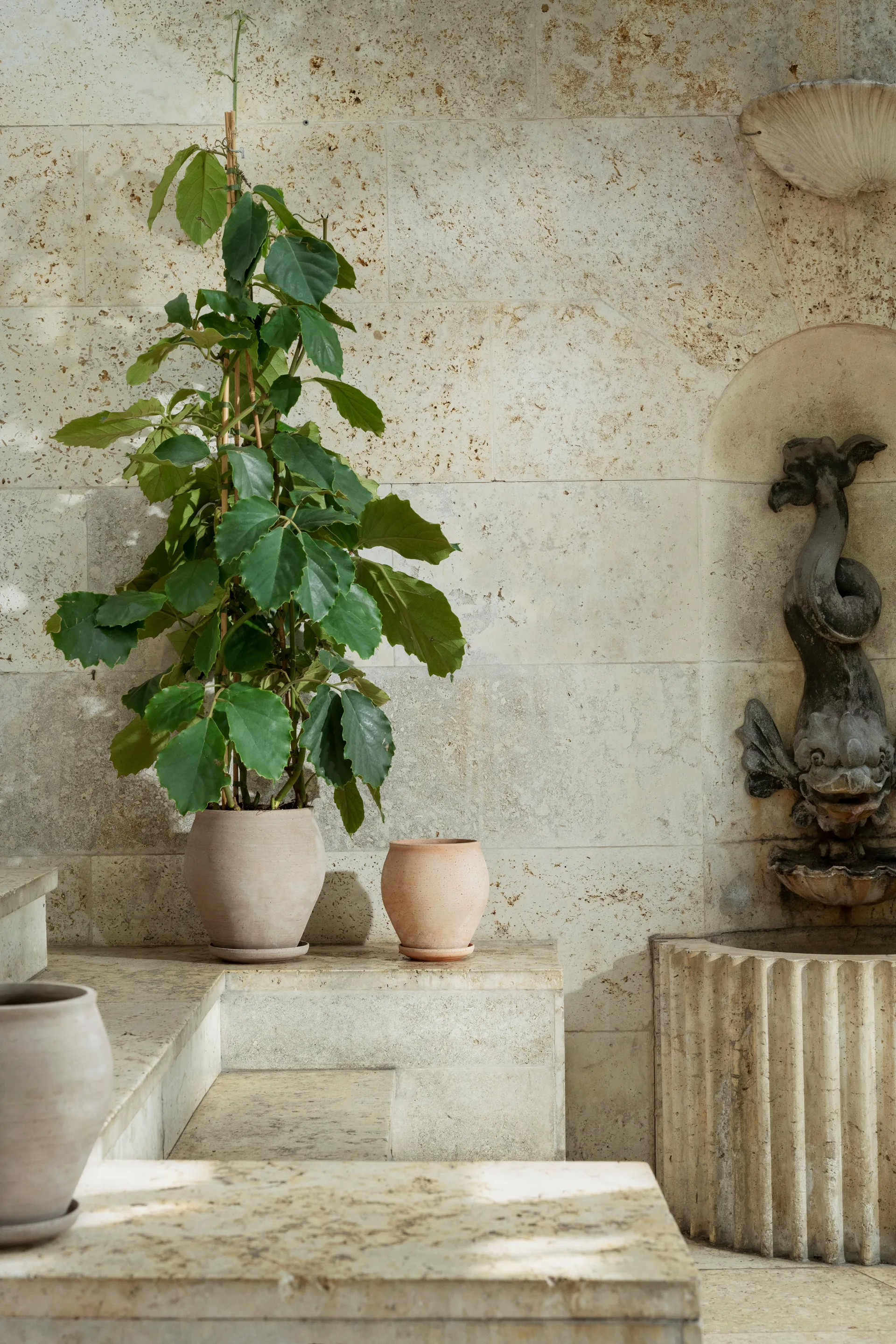 Delphi γλάστρα με πιατάκι 2 τεμάχια, Γκρι, Ø22 εκ., ψηλό Bergs Potter