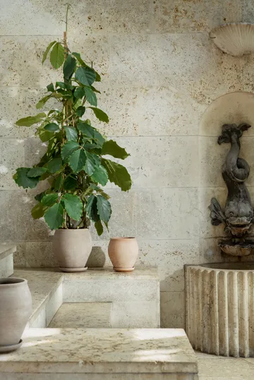 Delphi γλάστρα με πιατάκι 2 τεμάχια - Γκρι, Ø22 εκ., ψηλό - Bergs Potter