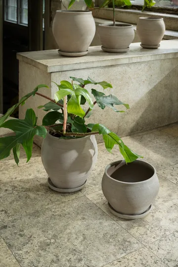 Delphi γλάστρα με πιατάκι 2 τεμάχια - Γκρι, Ø24 εκ., χαμηλό - Bergs Potter