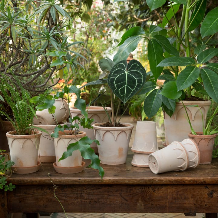 Γλάστρα, Elizabeth, Ø12 εκ, ροζ τριανταφυλλί Bergs Potter