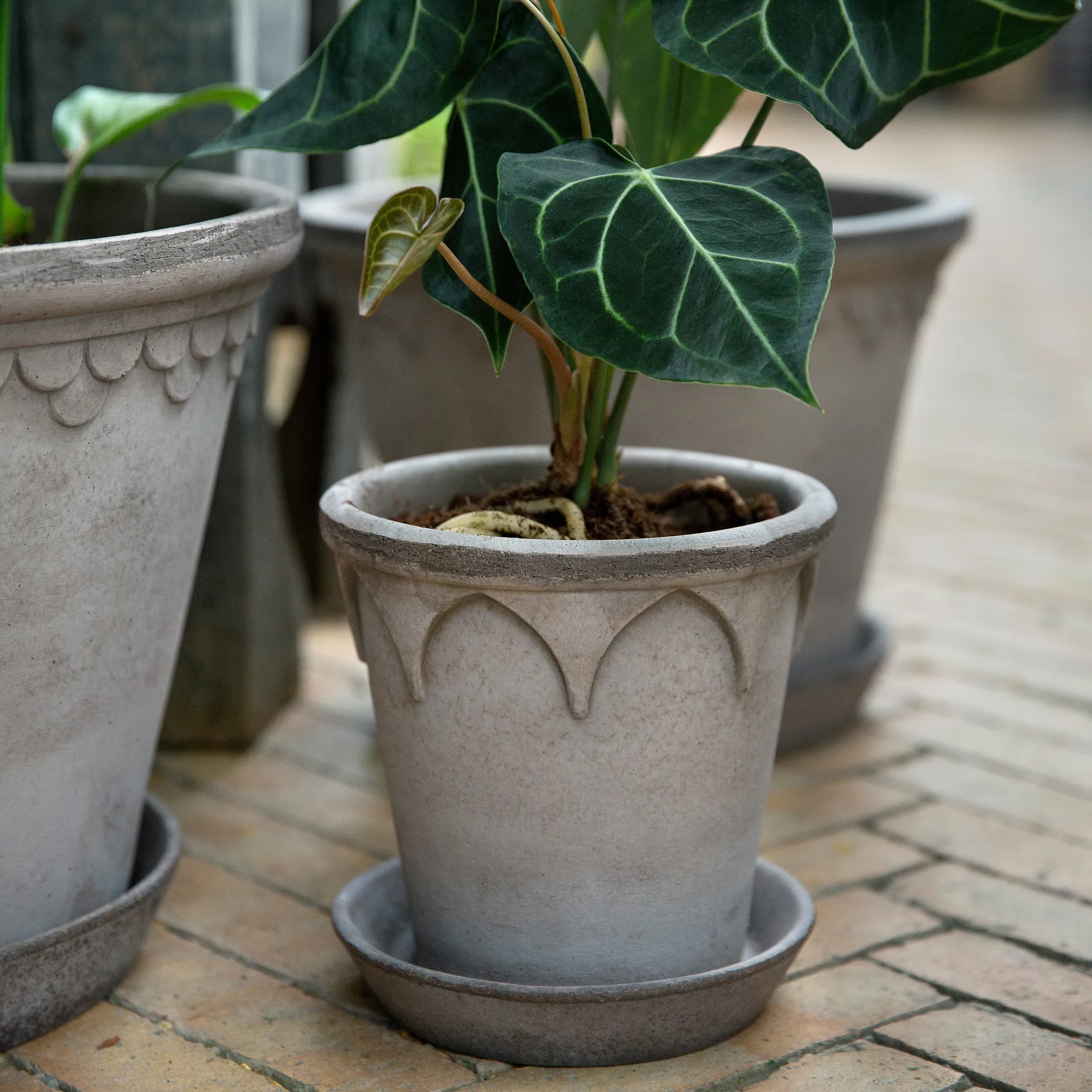 Γλάστρα, Elizabeth, Ø16 εκ, γκρι Bergs Potter