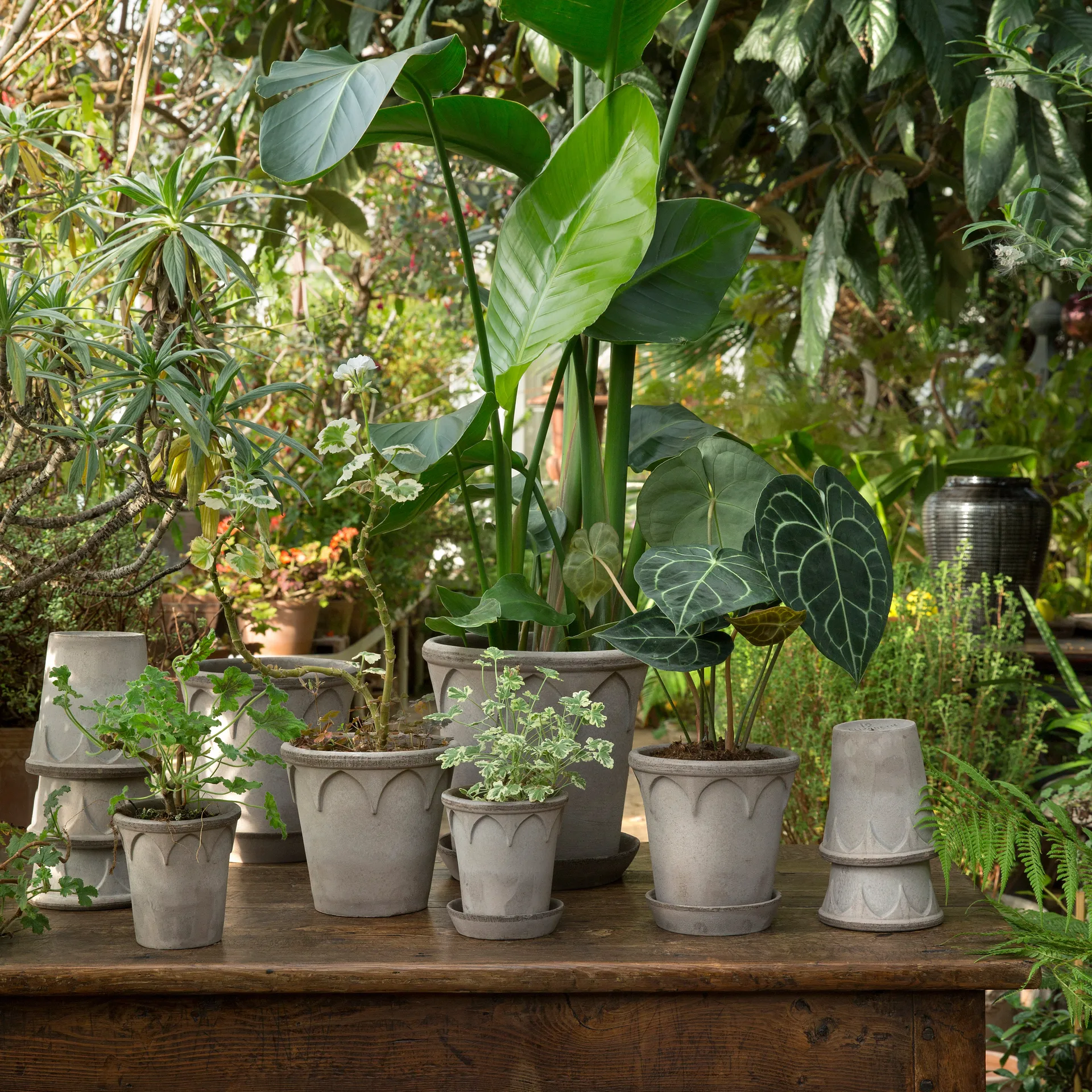 Γλάστρα, Elizabeth, Ø16 εκ, γκρι Bergs Potter