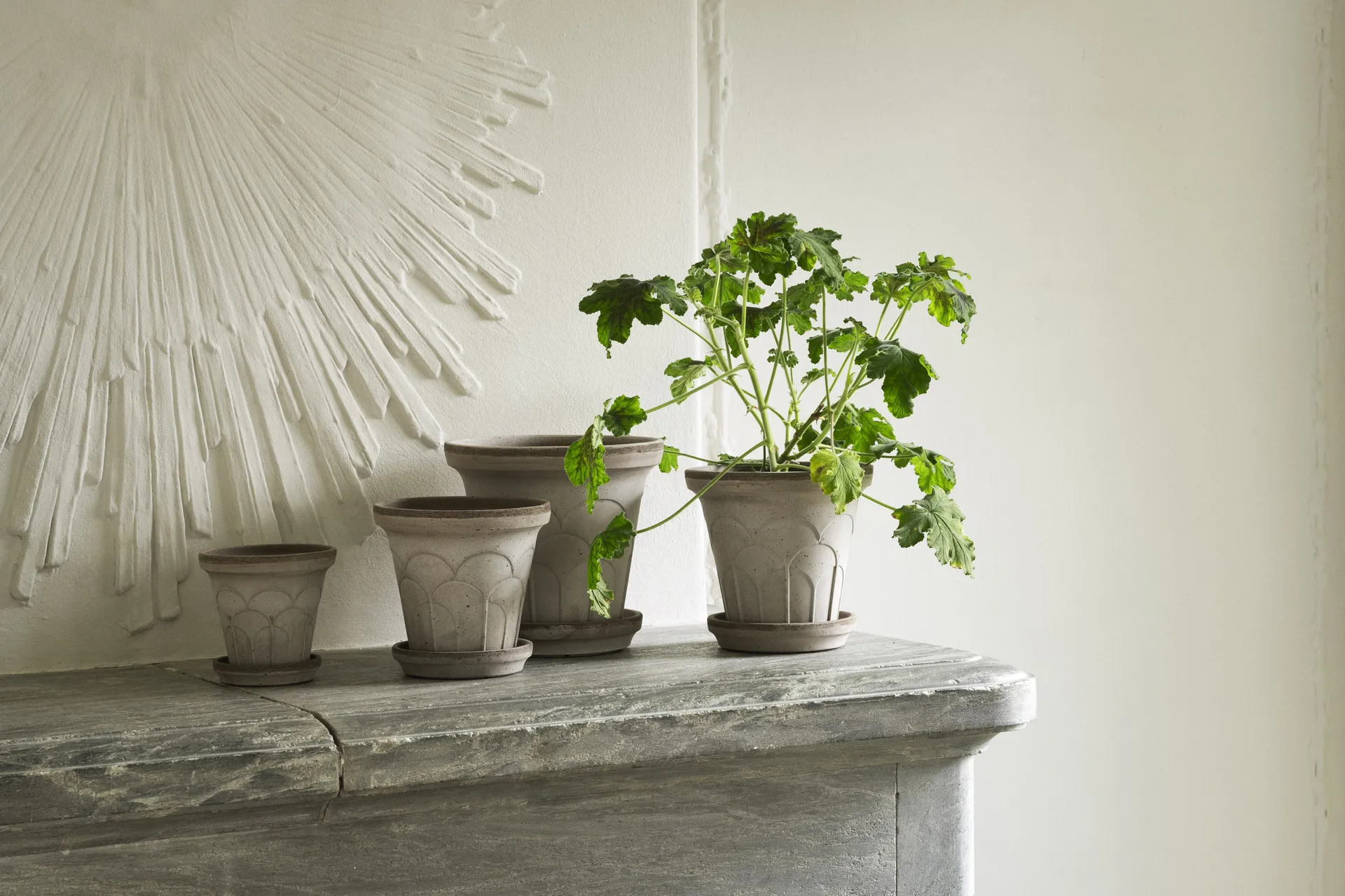 Fleur γλάστρα με πιατάκι 2 τεμάχια, Γκρι, Ø12 εκ. Bergs Potter