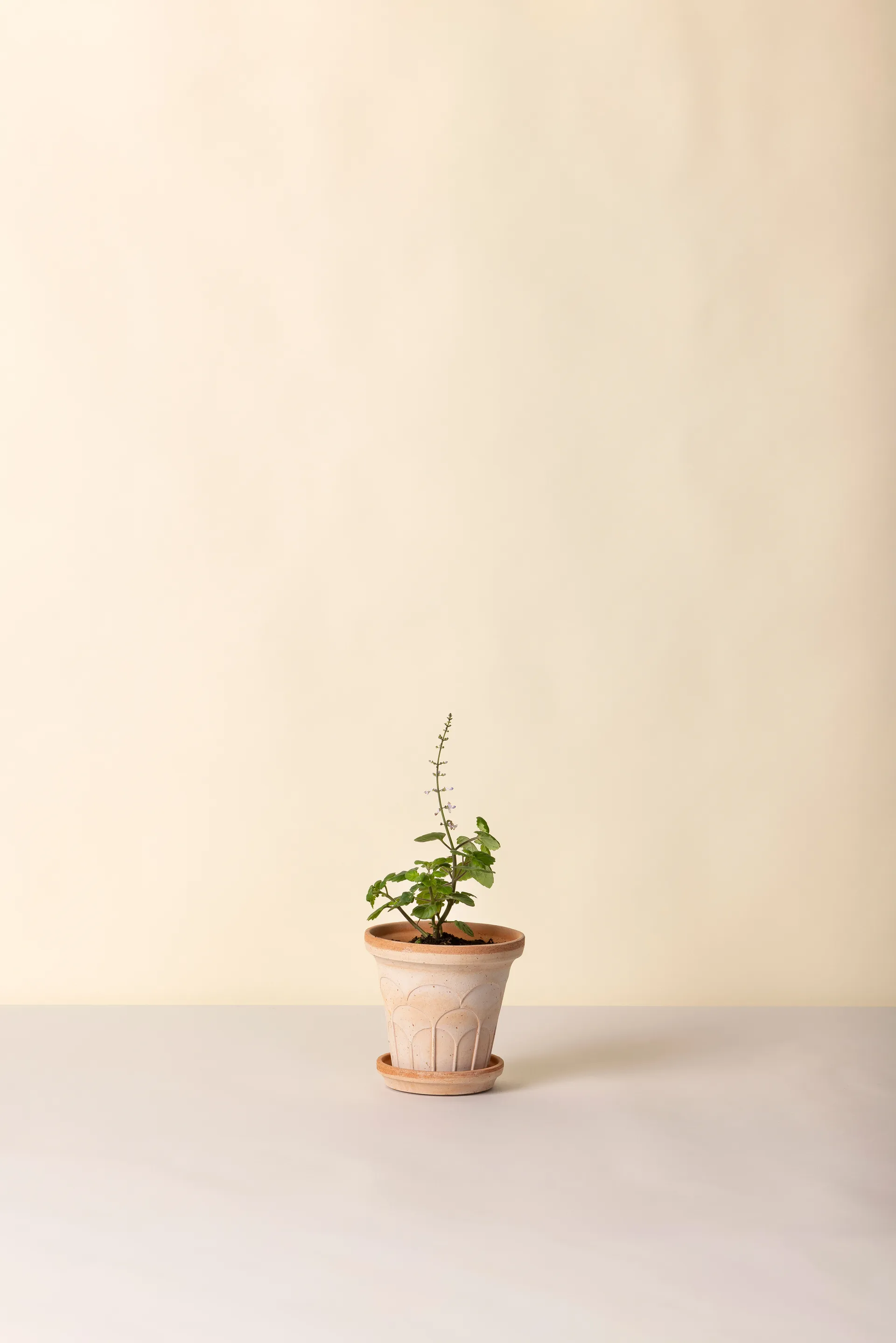 Fleur γλάστρα με πιατάκι 2 τεμάχια, Ροζ, Ø14 μm Bergs Potter