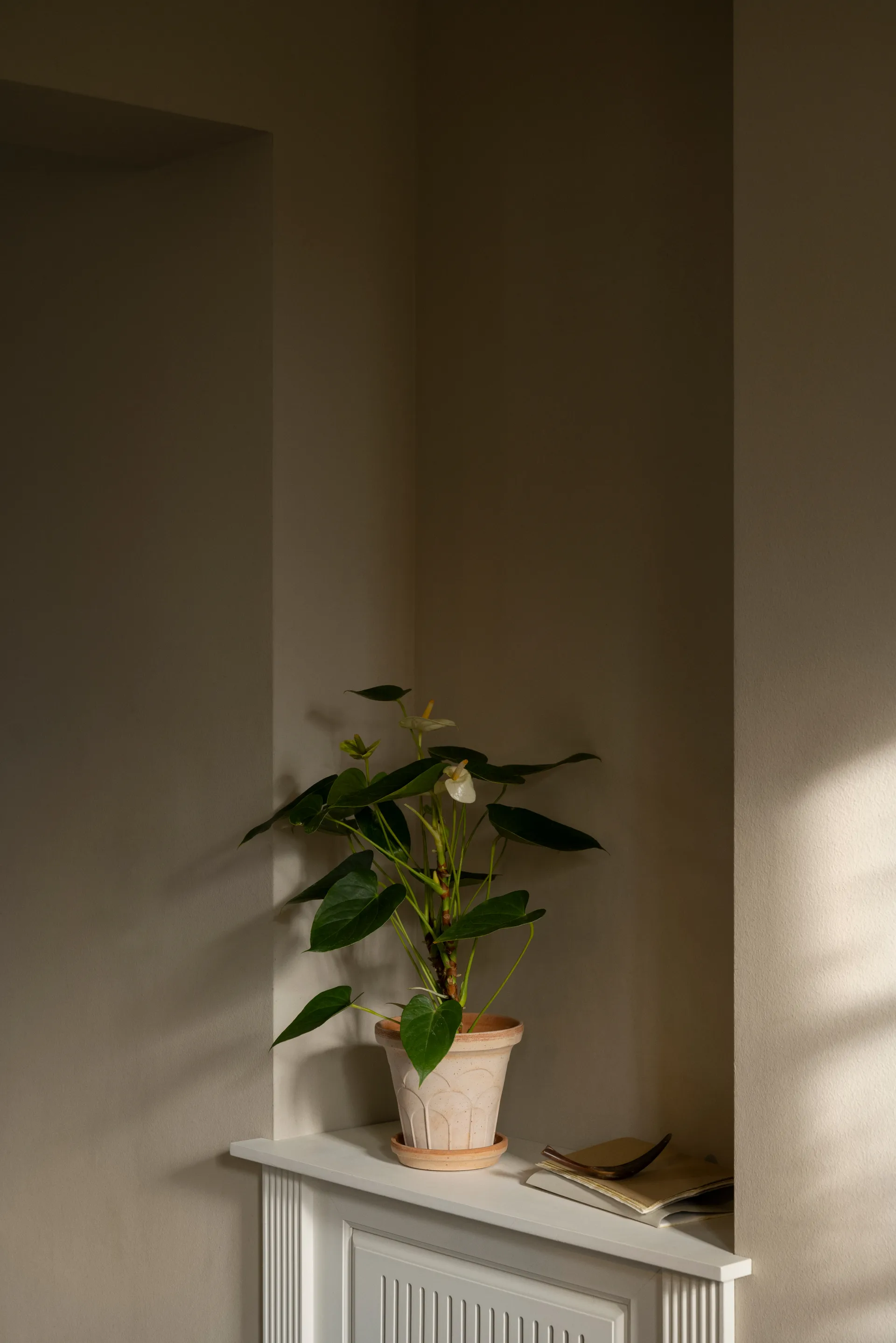 Fleur γλάστρα με πιατάκι 2 τεμάχια, Ροζ, Ø16 εκ. Bergs Potter