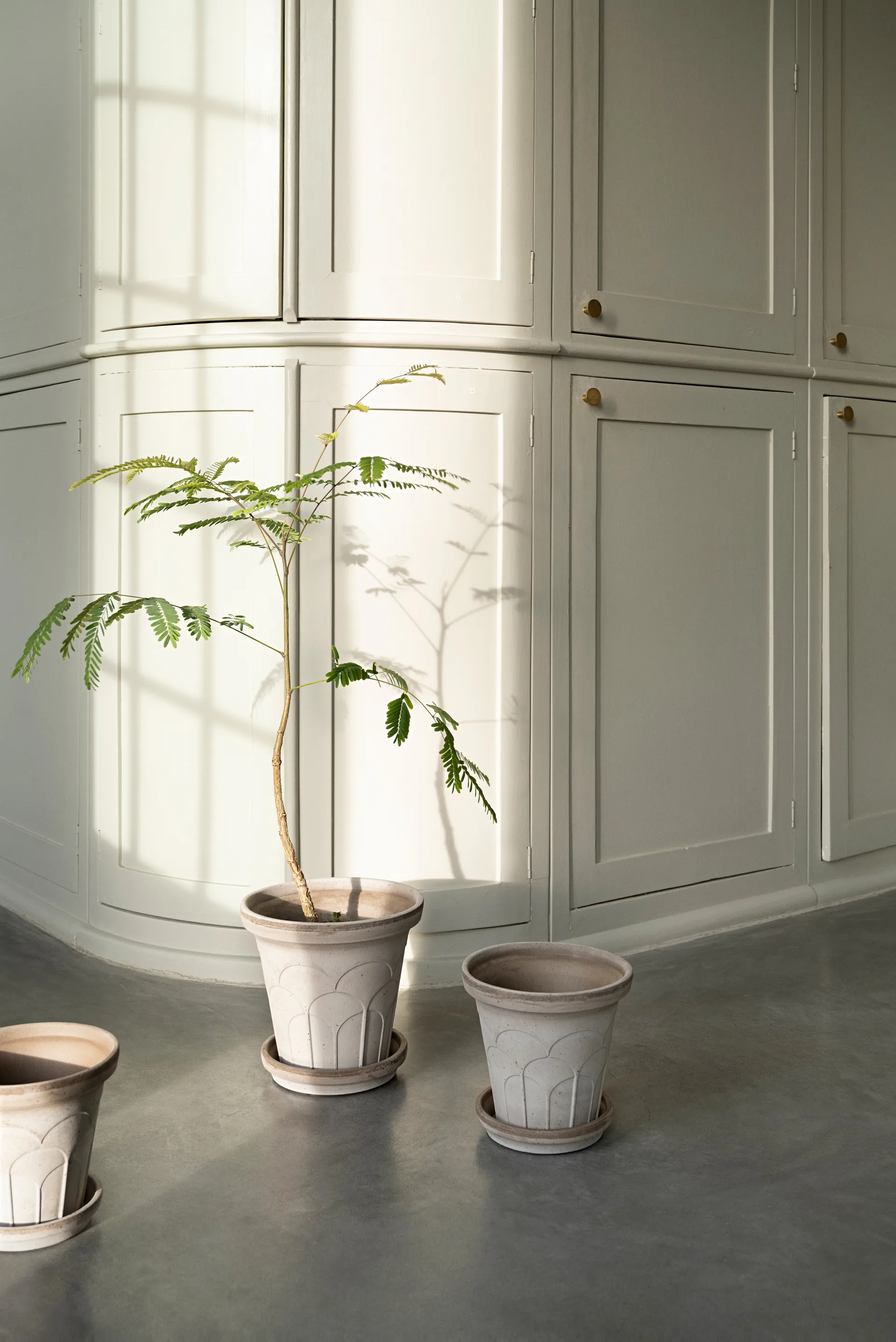 Fleur γλάστρα με πιατάκι 2 τεμάχια, Γκρι, Ø16 εκ. Bergs Potter