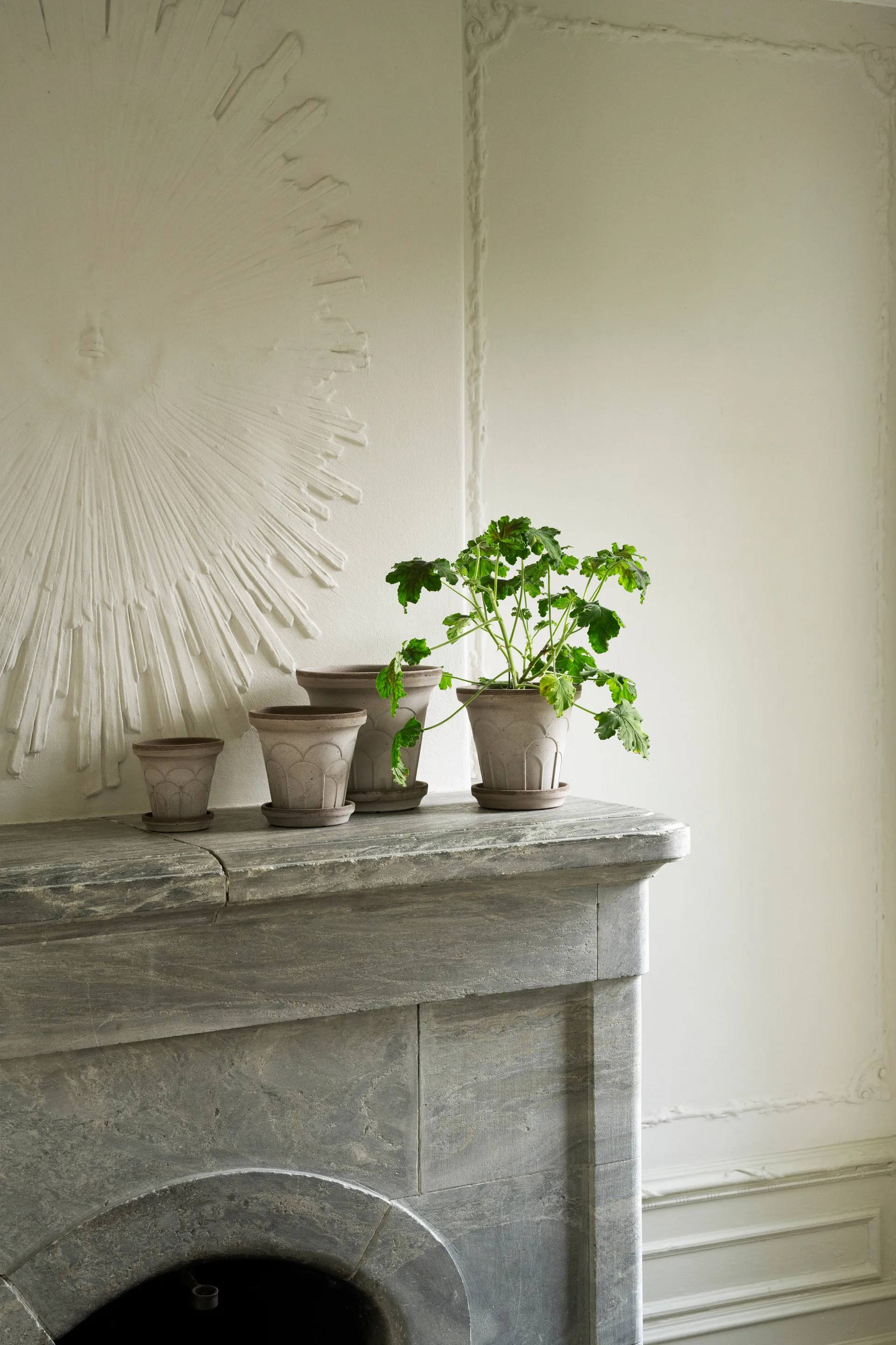 Fleur γλάστρα με πιατάκι 2 τεμάχια, Γκρι, Ø16 εκ. Bergs Potter