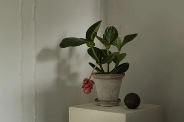 Fleur γλάστρα με πιατάκι 2 τεμάχια - Γκρι, Ø18 εκ. - Bergs Potter