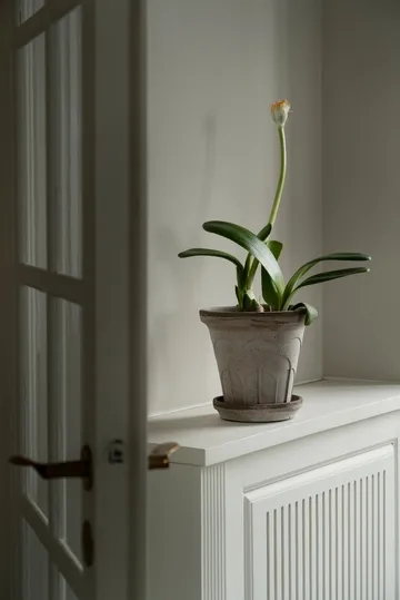 Fleur γλάστρα με πιατάκι 2 τεμάχια - Γκρι, Ø18 εκ. - Bergs Potter