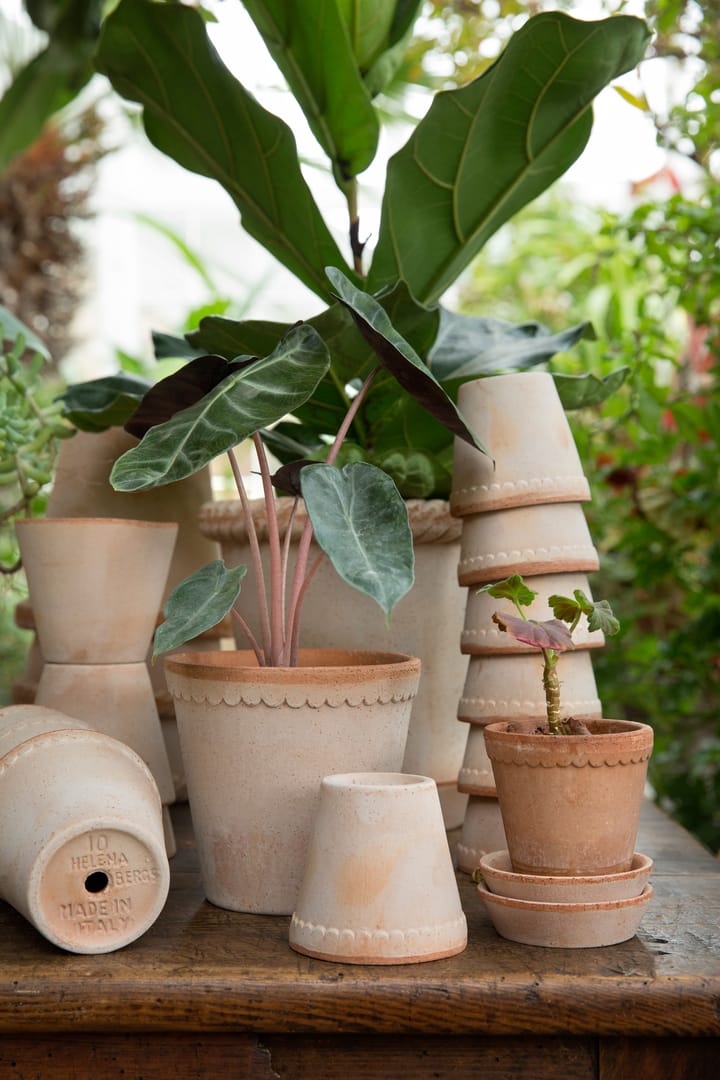 Γλάστρα, Helena, ψηλή Ø14 εκ, ροζ Bergs Potter