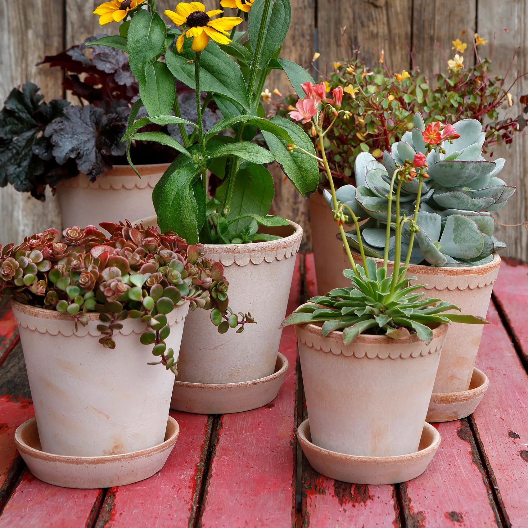 Helena γλάστρα Ø16 cm, ροζ Bergs Potter