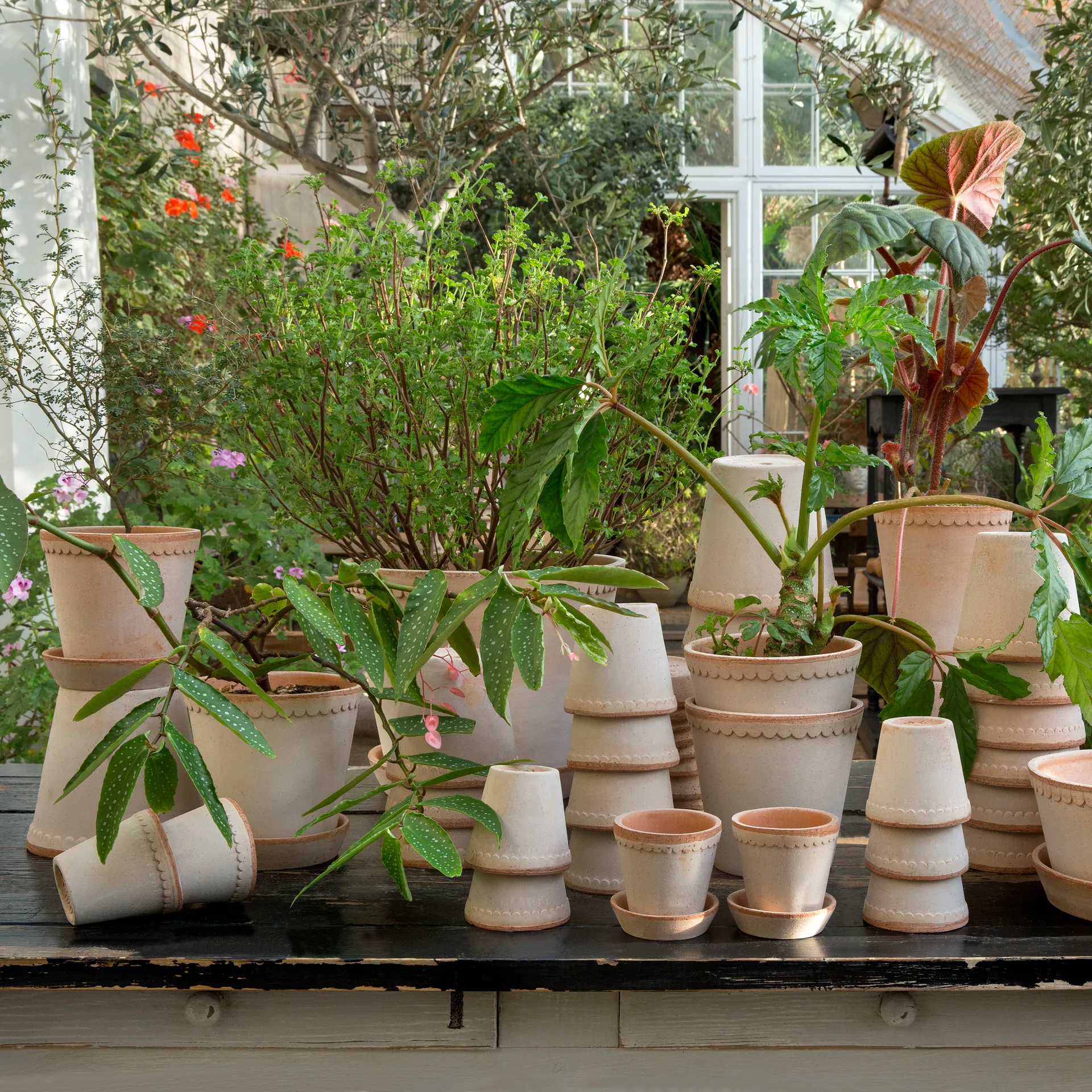 Helena γλάστρα Ø16 cm, ροζ Bergs Potter