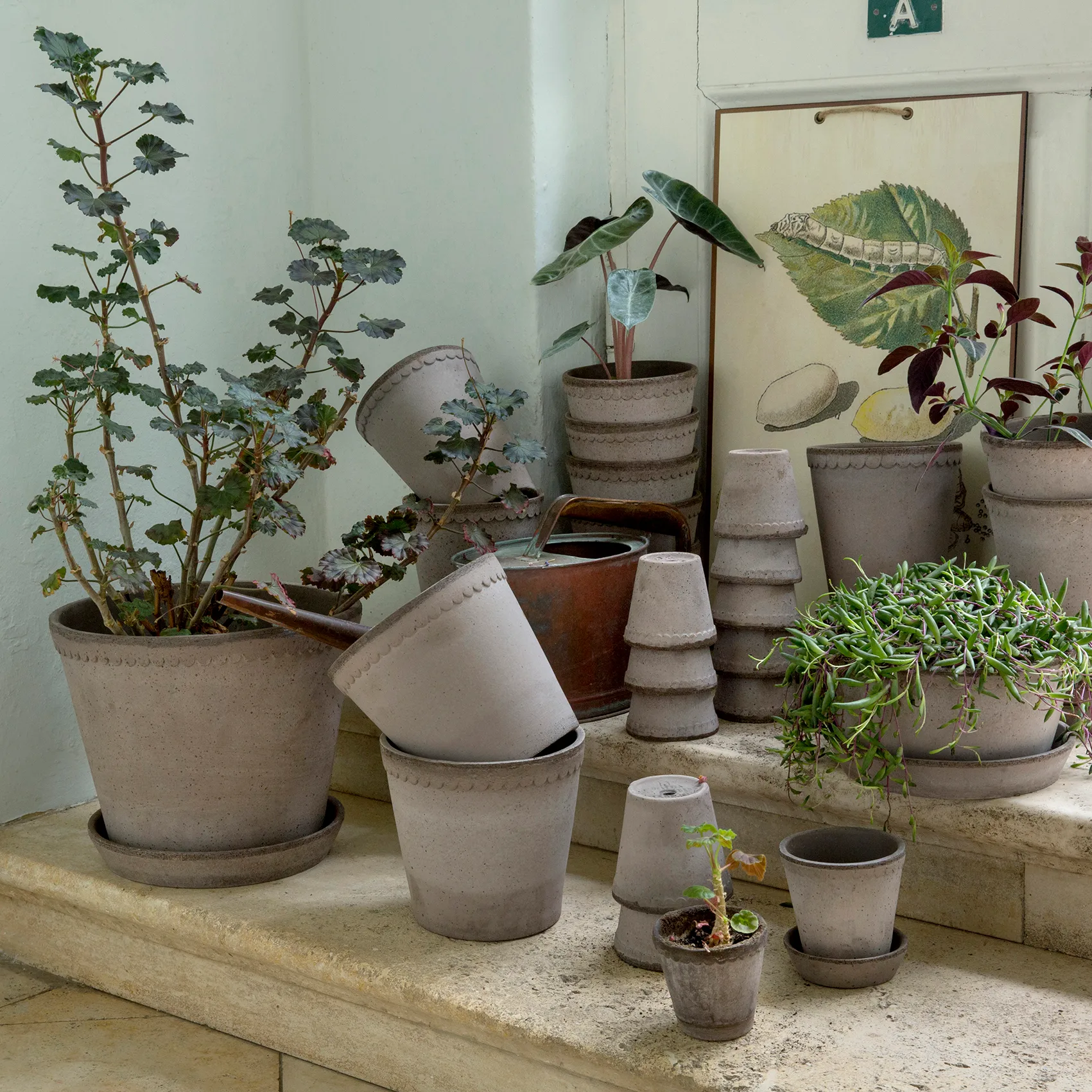 Helena γλάστρα Ø18 cm, γκρι Bergs Potter