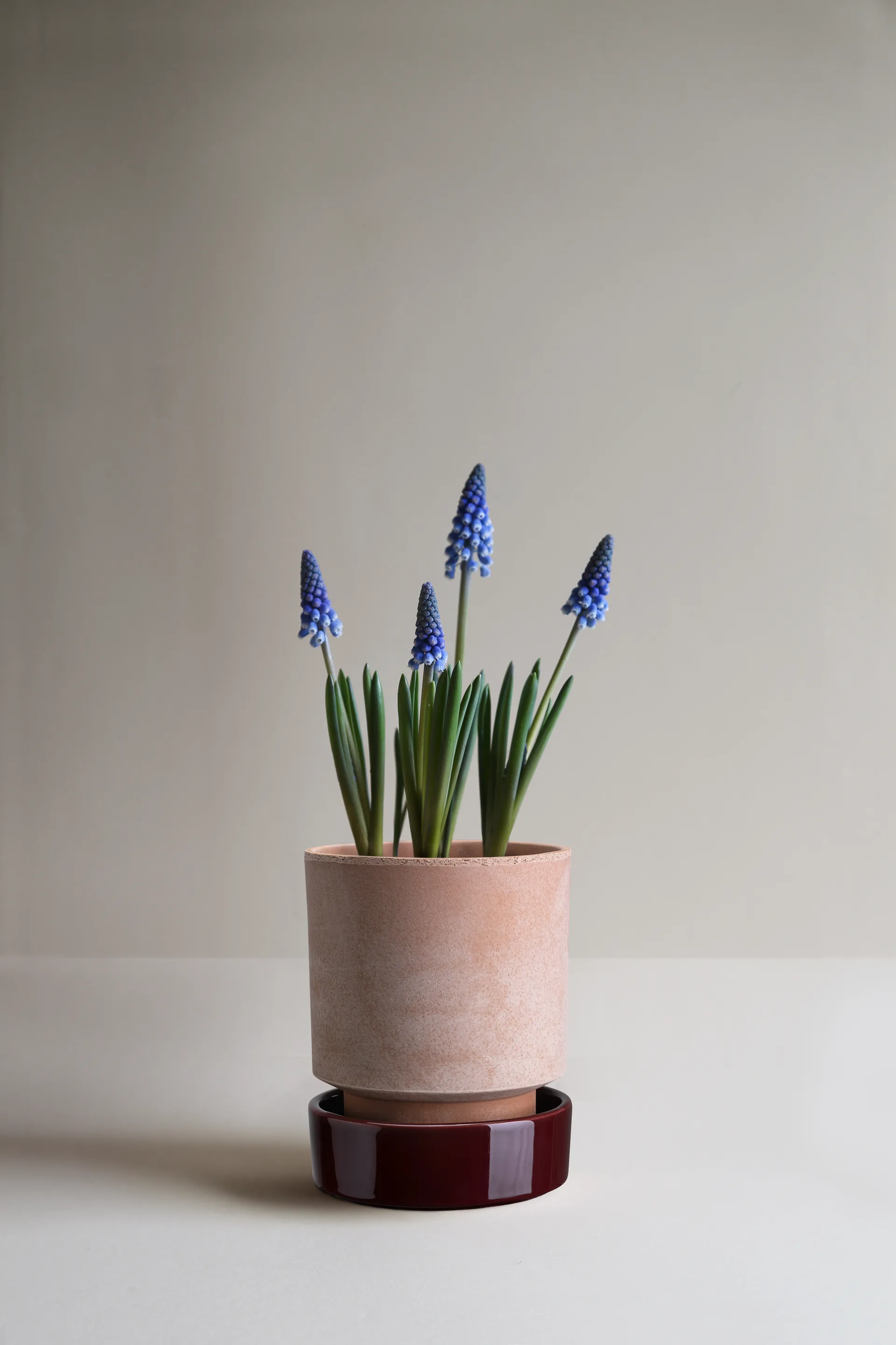 Hoff γλάστρα, Ø14 εκ., Raw Rosa-Deep Burgundy Bergs Potter