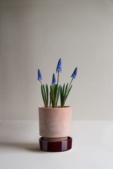 Hoff γλάστρα - Ø14 εκ., Raw Rosa-Deep Burgundy - Bergs Potter