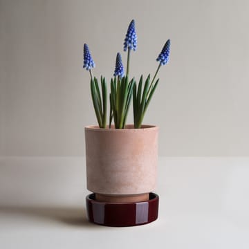 Hoff γλάστρα - Ø16 cm, Raw Rosa-Deep Burgundy - Bergs Potter