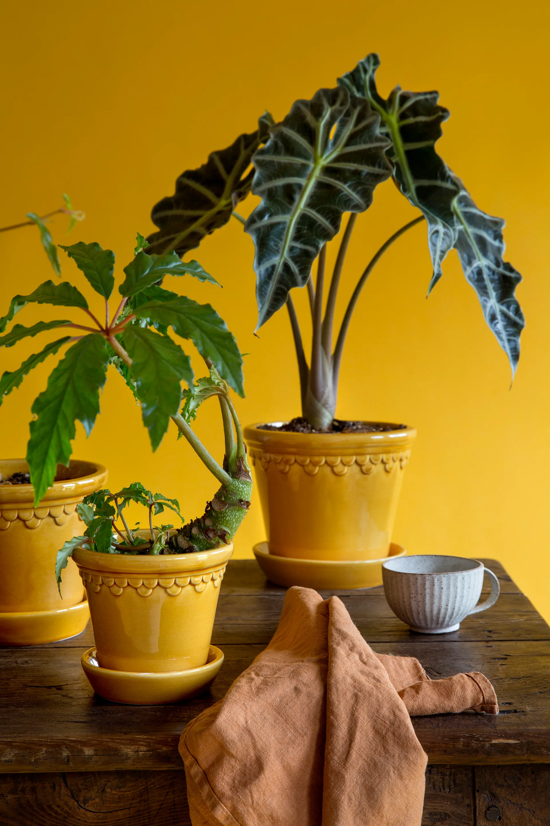 Κεραμικό γλαστράκι Københavner γυαλιστερό Ø10 εκ., Κίτρινο Bergs Potter