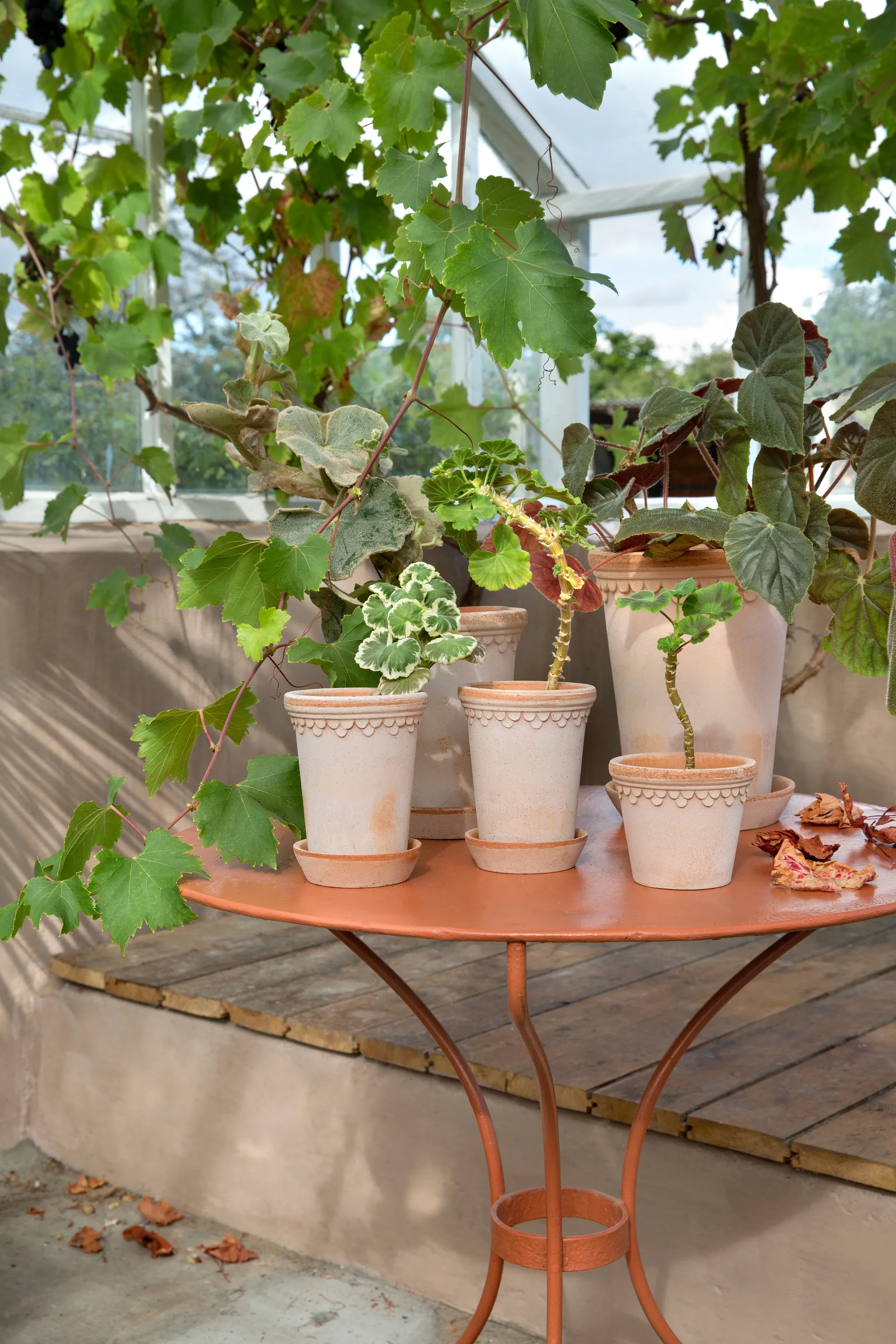 Κεραμικό γλαστράκι Københavner ψηλό Ø10 εκ., ροζ Bergs Potter